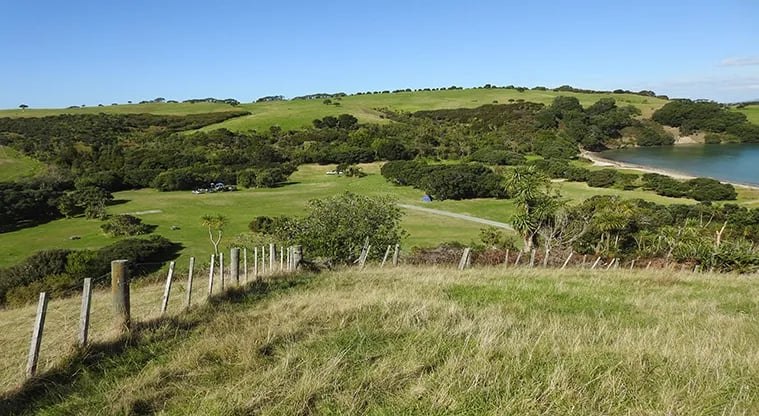 Te Haruhi Bay Campground gallery 2
