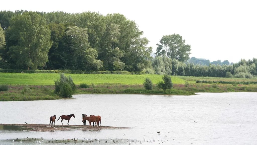 Molecaten Park De Agnietenberg gallery 2