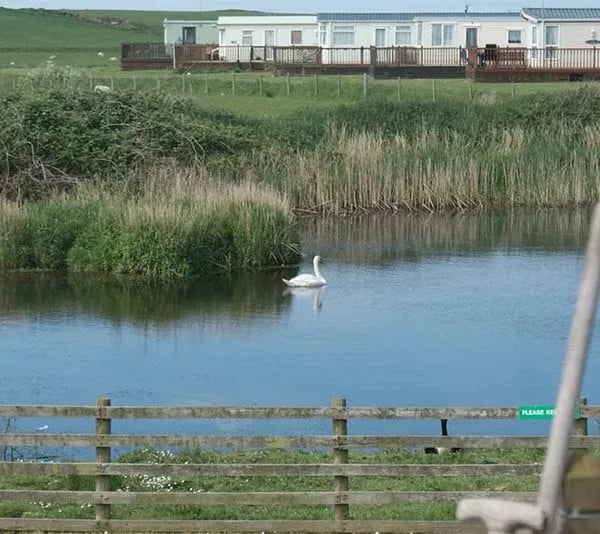 South End Caravan Park gallery 1