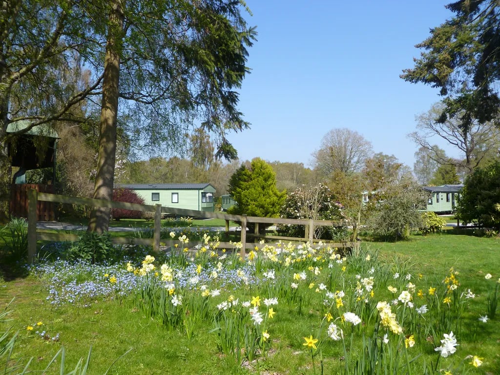 Fernwood Caravan Park