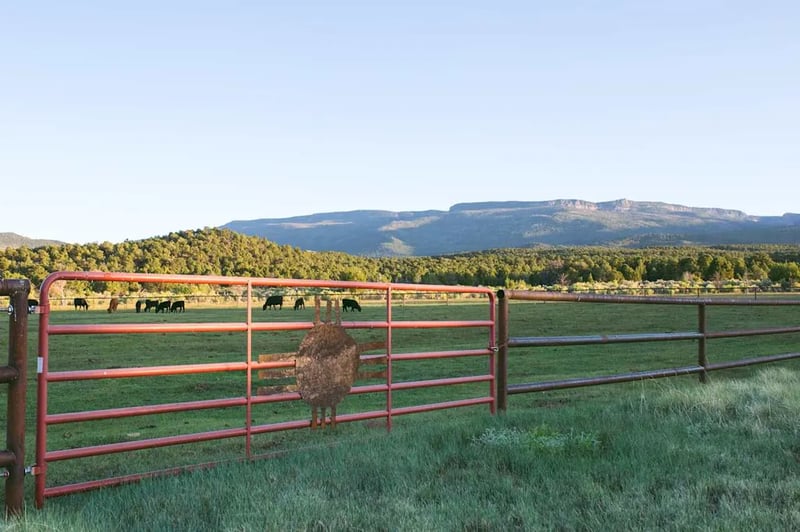 Road to the Sun Ranch gallery 2