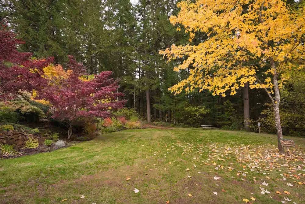 The Willamettans gallery 2