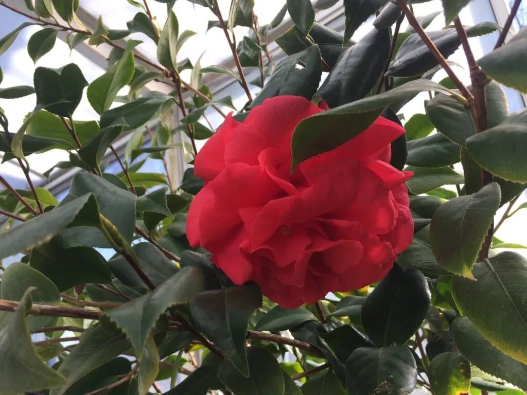 Turkey Creek Ranch Reserve gallery 2