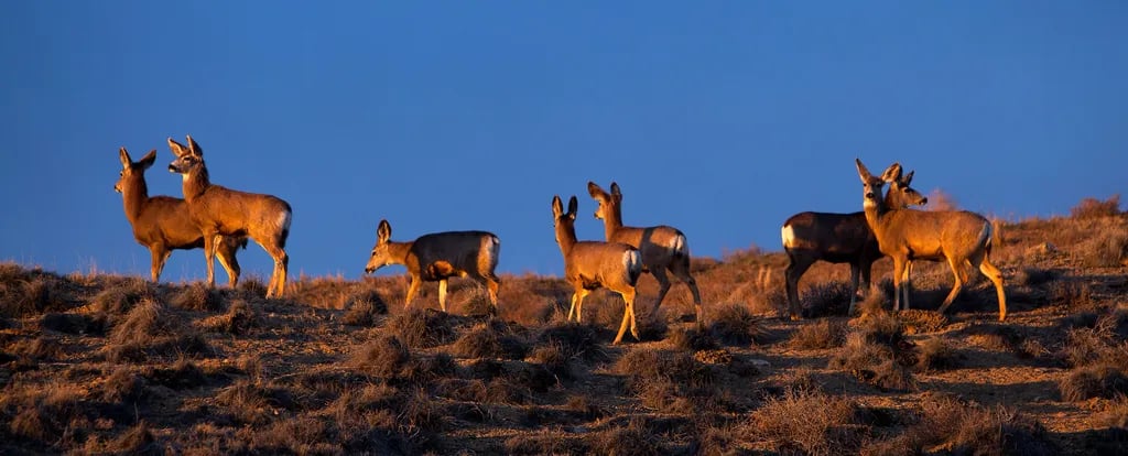 Highline Lake State Park Campground gallery 3