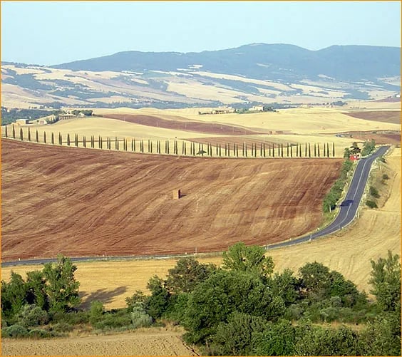 Campeggio La Montagnola gallery 2