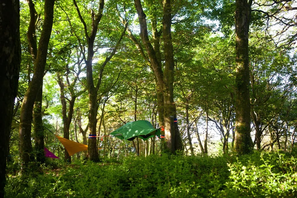 Kite View Farm gallery 1