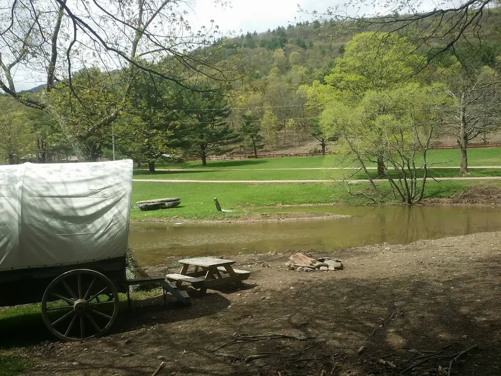 Bailiwick Animal Park & Riding Stables gallery 1