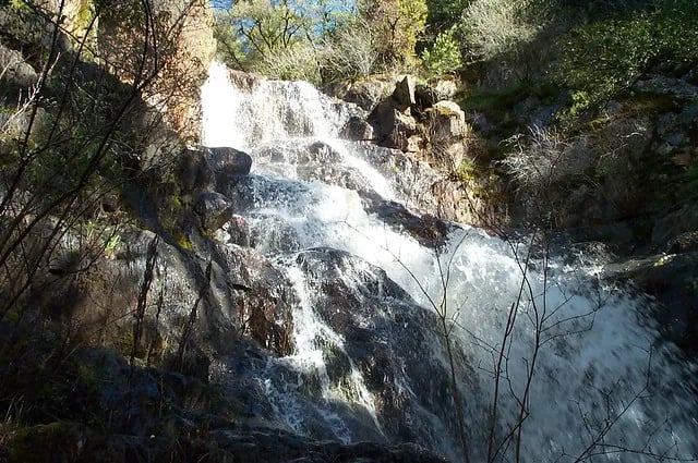 South Yuba Campground
