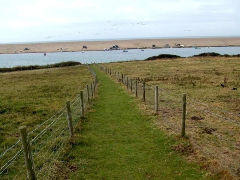 Martleaves Farm Campsite gallery 2