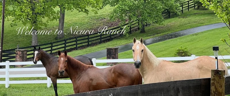 NICURA RANCH gallery 1