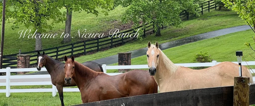 NICURA RANCH gallery 1