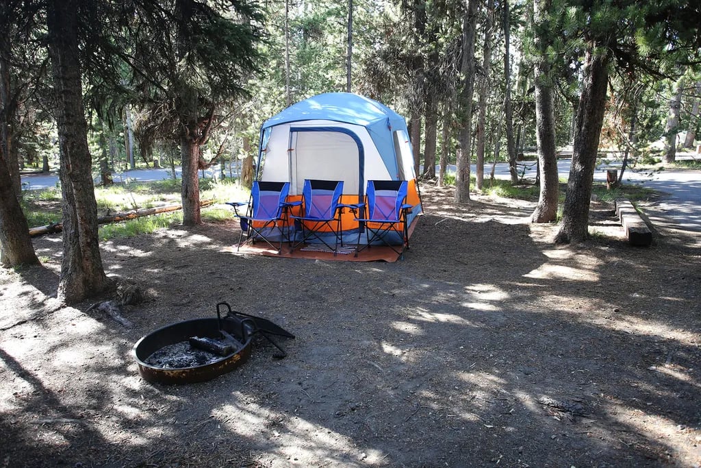 Grant Village Campground — Yellowstone National Park gallery 2