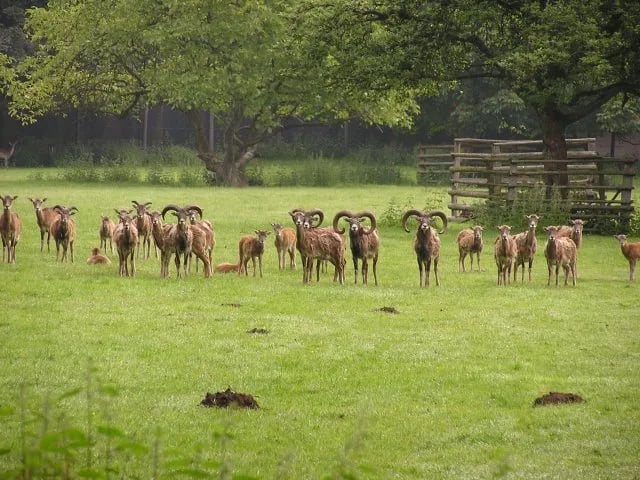 Camping Waldbad gallery 2