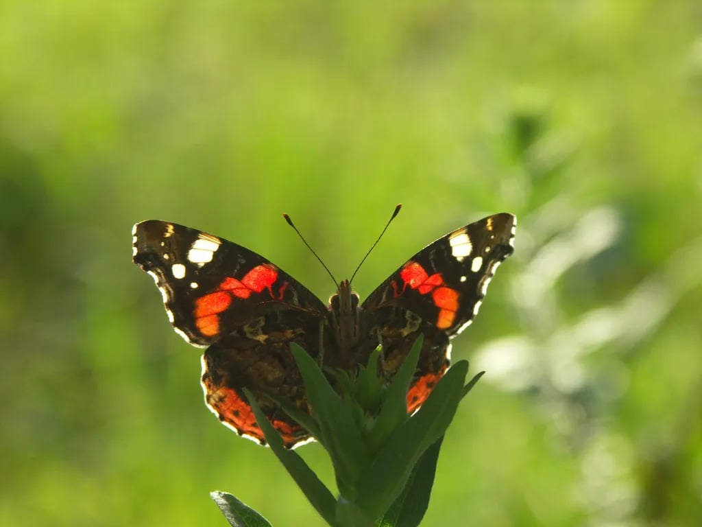 Camping Edersee-Paradies gallery 1