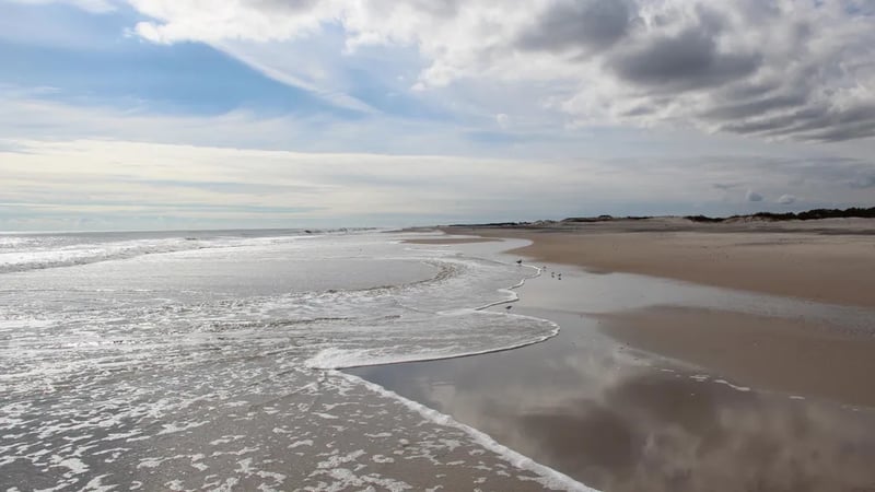 Assateague Island National Seashore gallery 2
