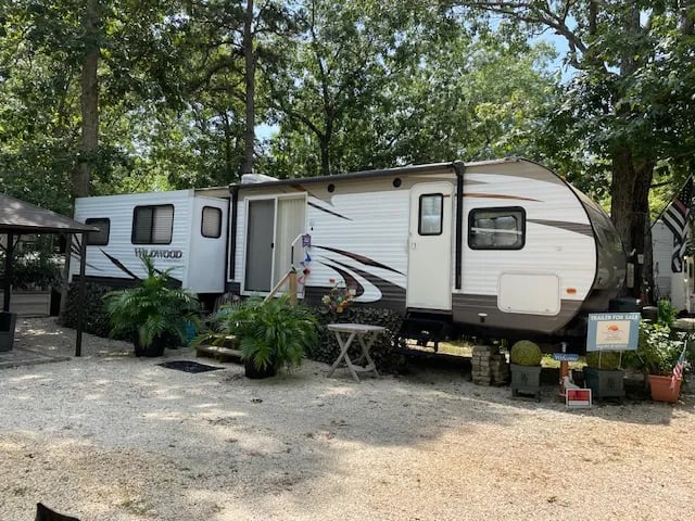 Uvas Canyon County Park gallery 3