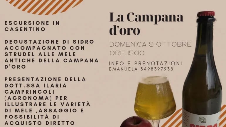 Azienda Agricola La Campana d’Oro gallery 2