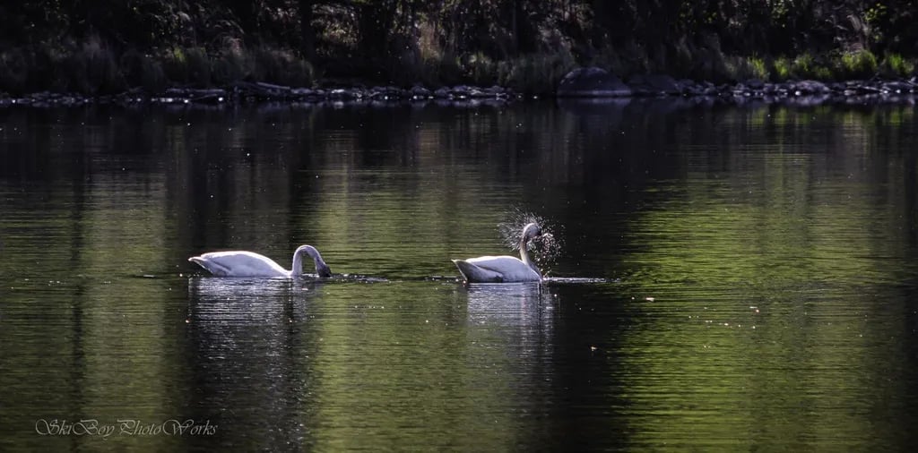 Wrangell View Campground gallery 3