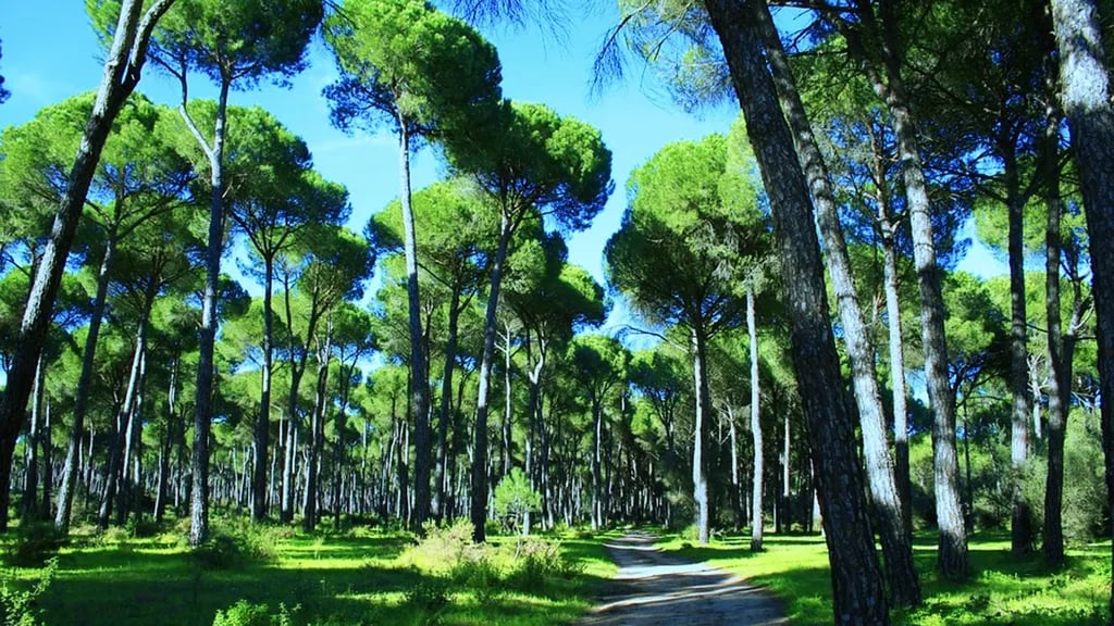 Camping Principina gallery 2