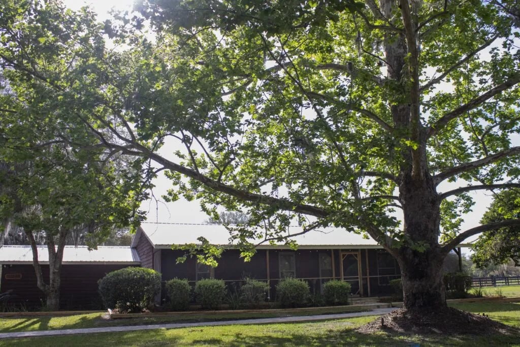 Trails End Outdoors RV Park & Cabins gallery 1