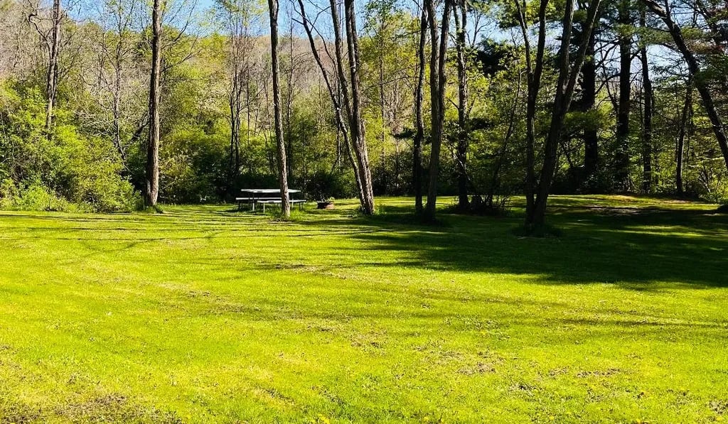 Sunflower Acres gallery 3