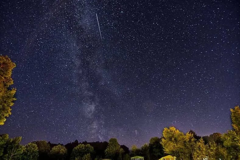 Queensland Holiday Park gallery 3