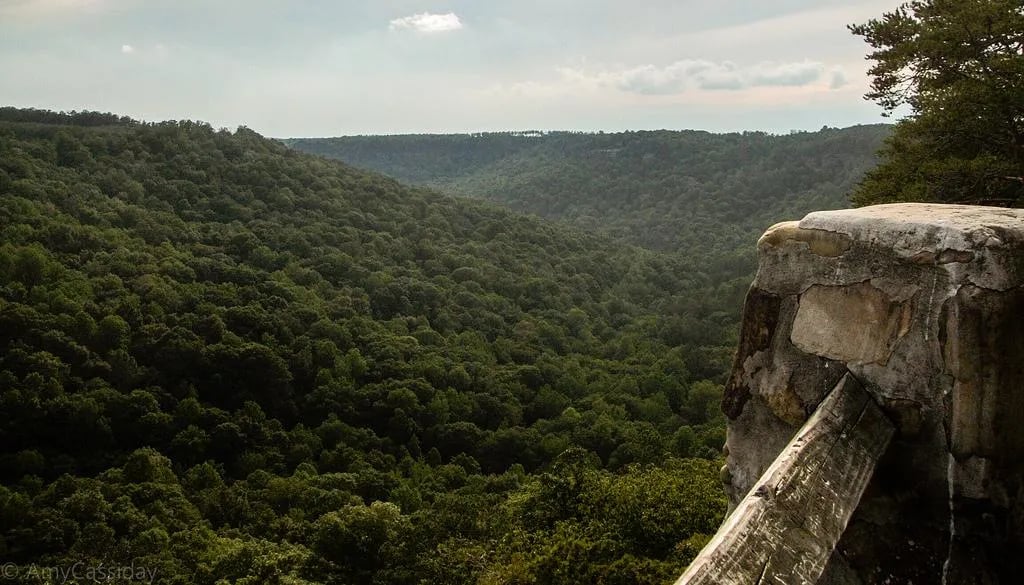 Buck’s Pocket State Park Campground gallery 3