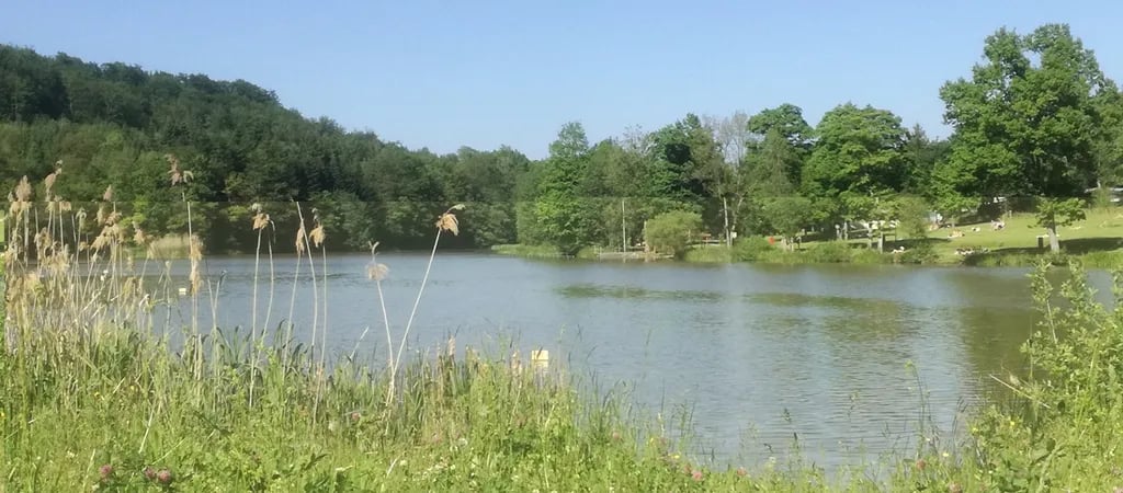 Camping Neumühlsee gallery 3