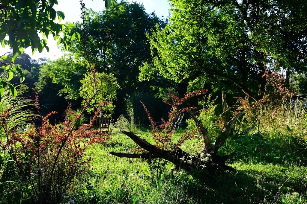 Na Samotě U Včelína gallery 1