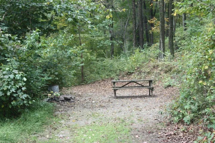 Camp Taylor Campground gallery 2