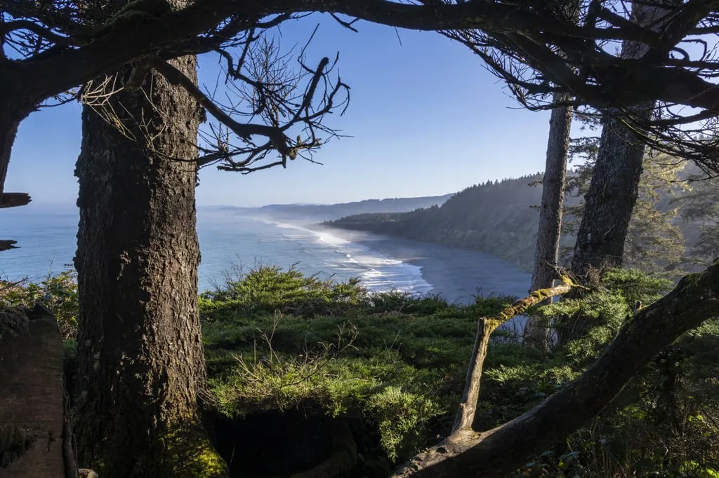 Agate Campground — Sue-meg State Park gallery 3