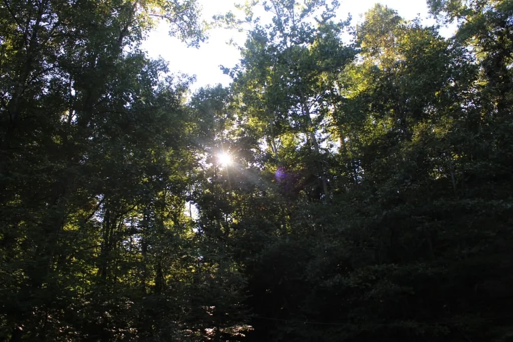 Valley View Campground gallery 1