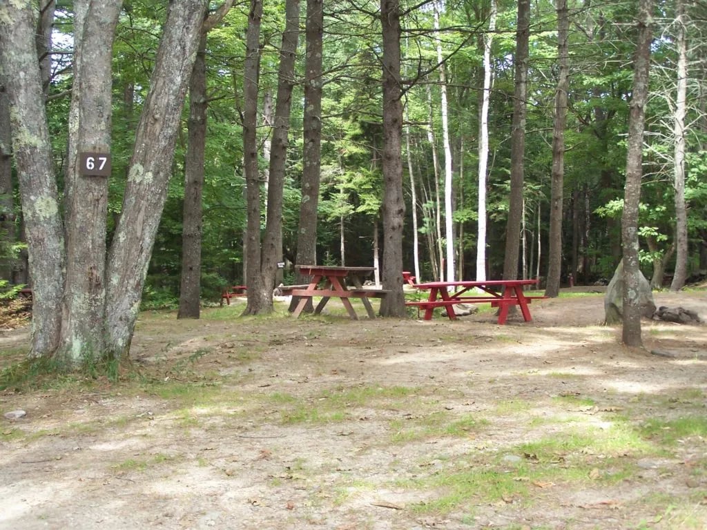 Meadowbrook Camping gallery 2