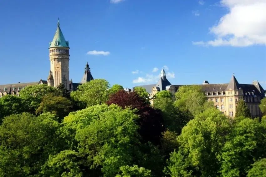 Camping De La Salm gallery 1