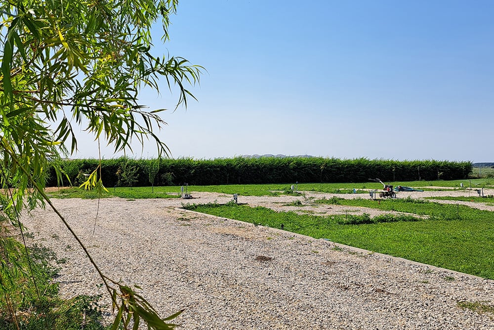 Camping La Agop by Pensiunea Cristian gallery 4