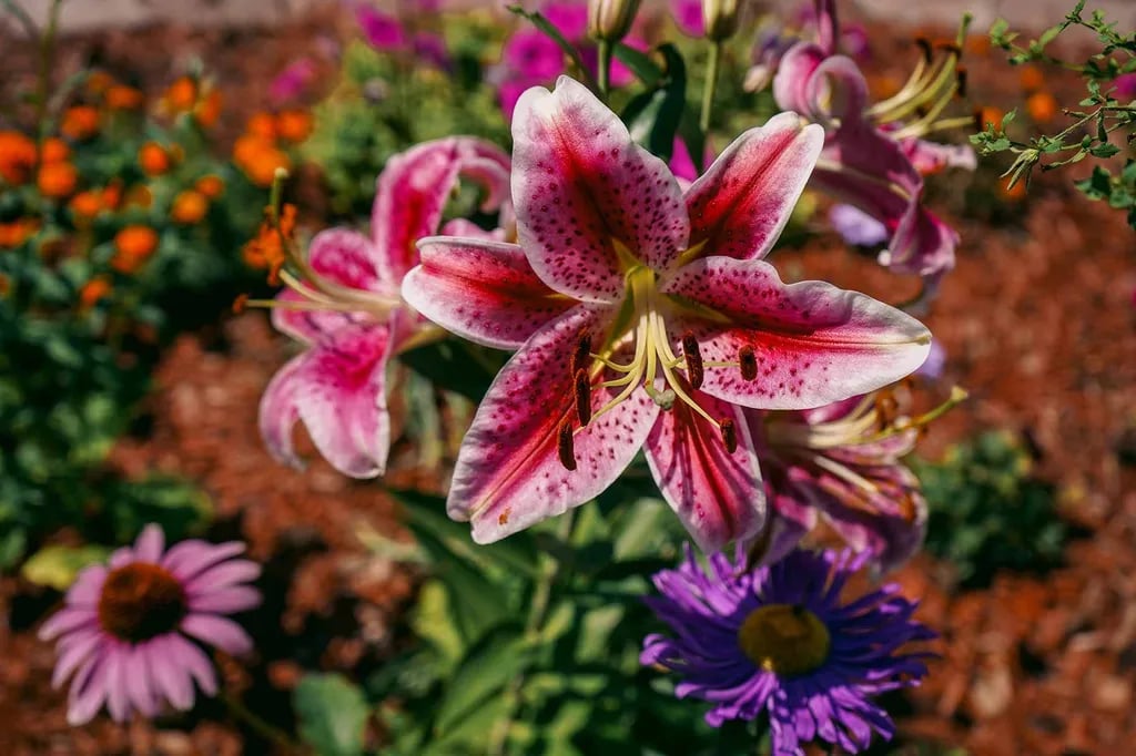 Jim & Mary’s RV Park gallery 3