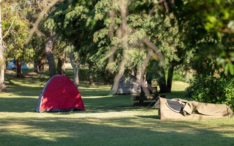 Pine Country Caravan Park | Mt Gambier gallery 3