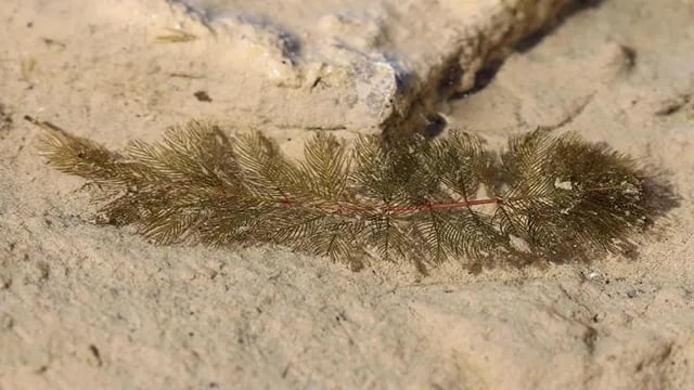 Yoho National Park Of Canada gallery 2