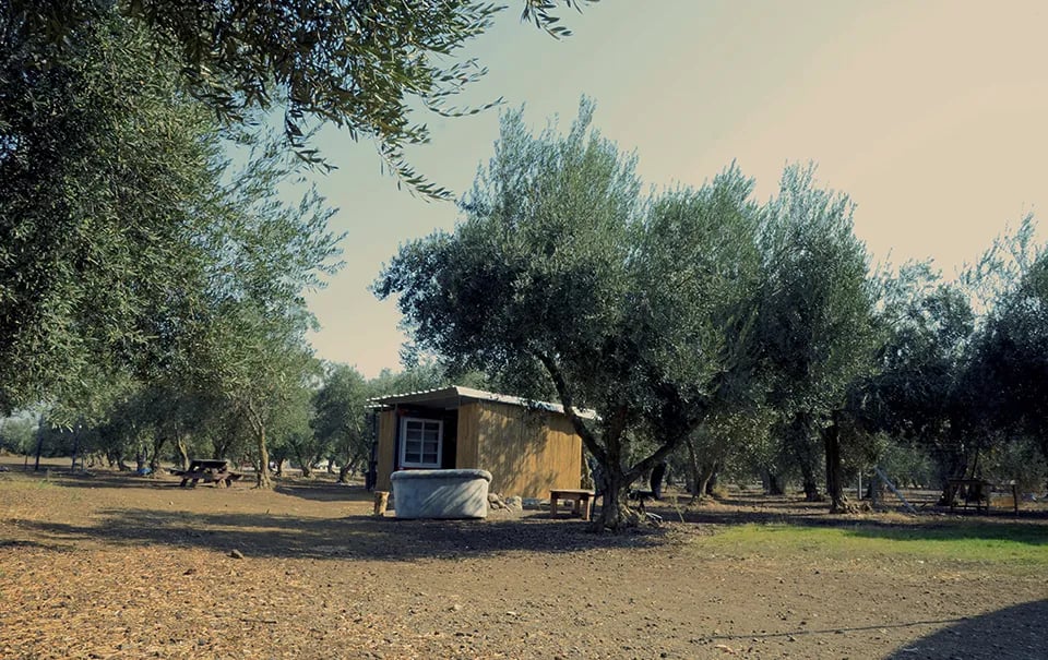 סיפורי בדים gallery 3