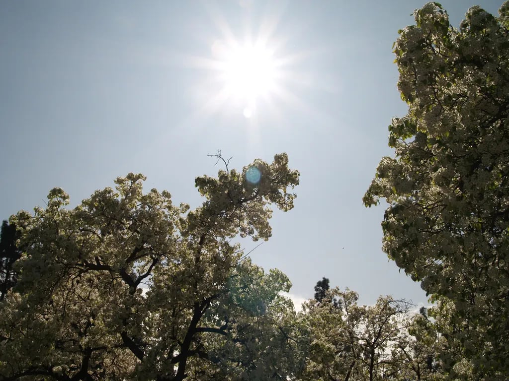 San Bernardino County Glen Helen Regional Park