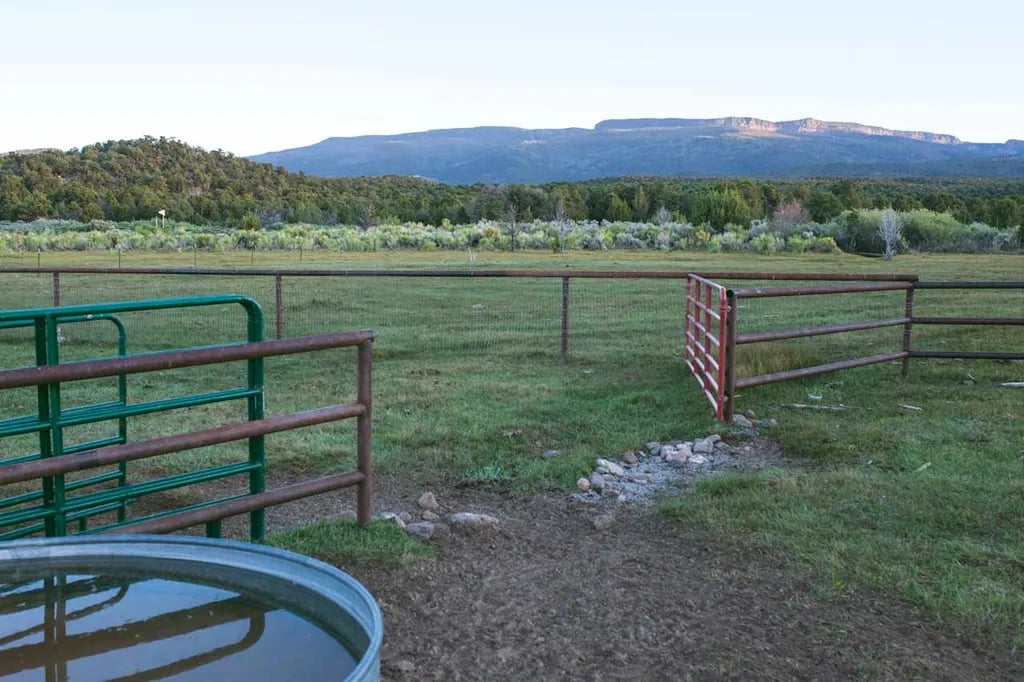 Road to the Sun Ranch gallery 1