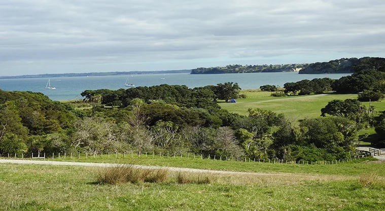 Te Haruhi Bay Campground gallery 1