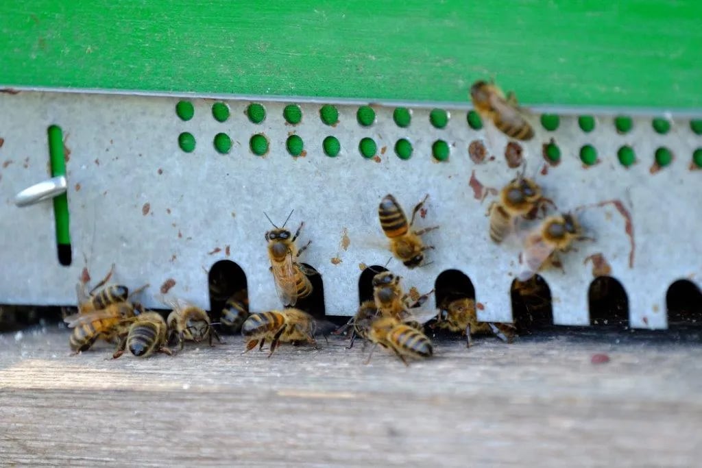 Camping La Ville Huchet gallery 1