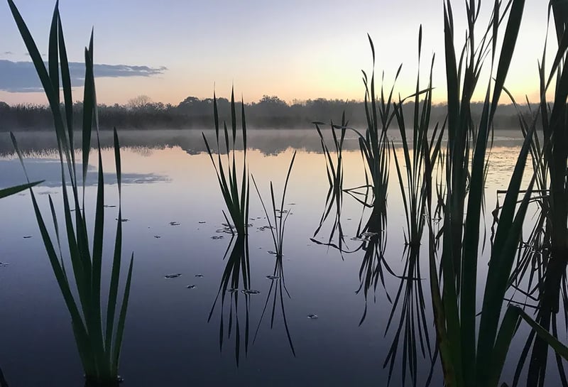 Scioto-Grove Metro Park