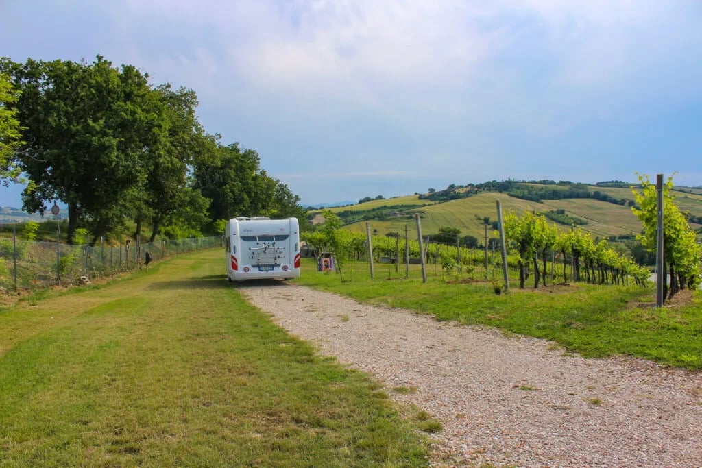 Azienda Agricola Bartolacci gallery 1