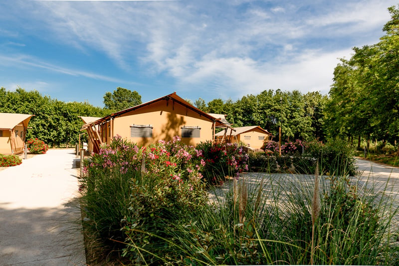 Dune Agriturismo and Glamping Dune gallery 2
