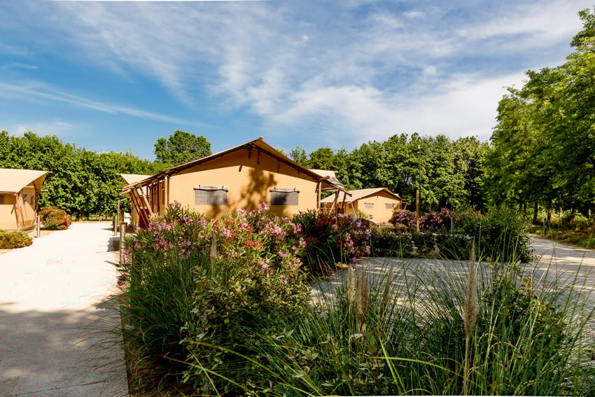 Dune Agriturismo and Glamping Dune gallery 2