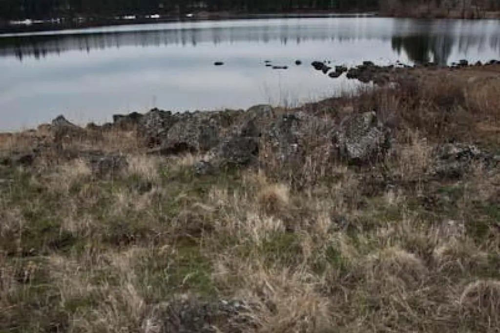 Morgan Lake – TEMPORARILY CLOSED gallery 3