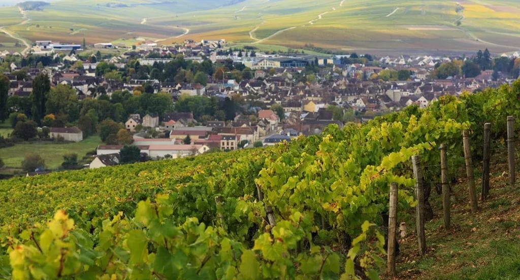 Camping Les Herlequins gallery 1