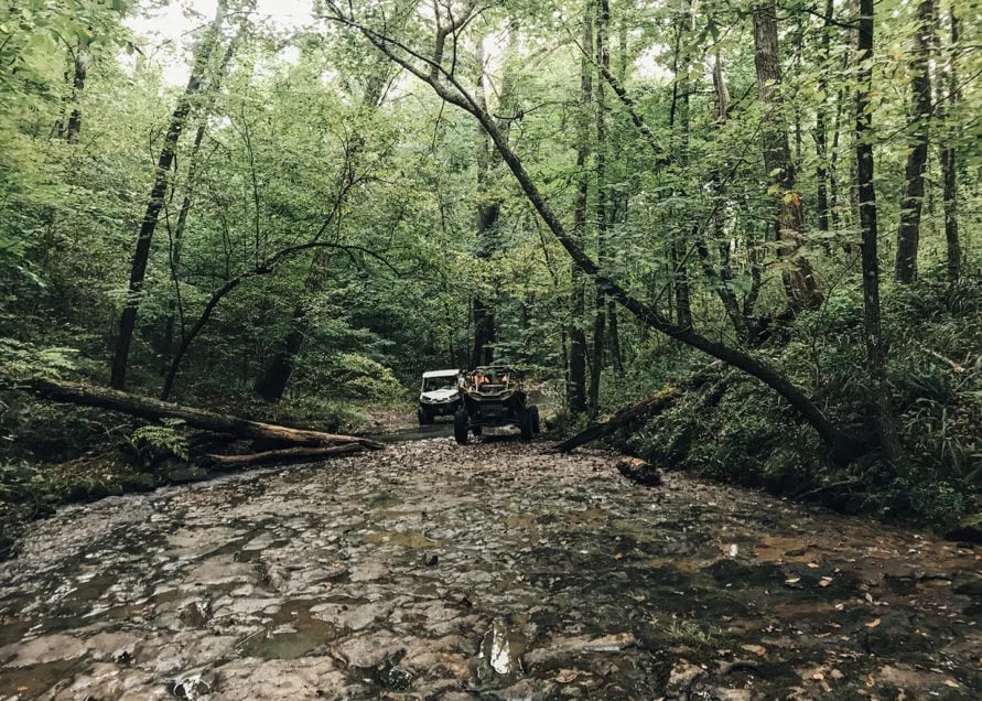 Mulberry River Outdoor Adventures gallery 1